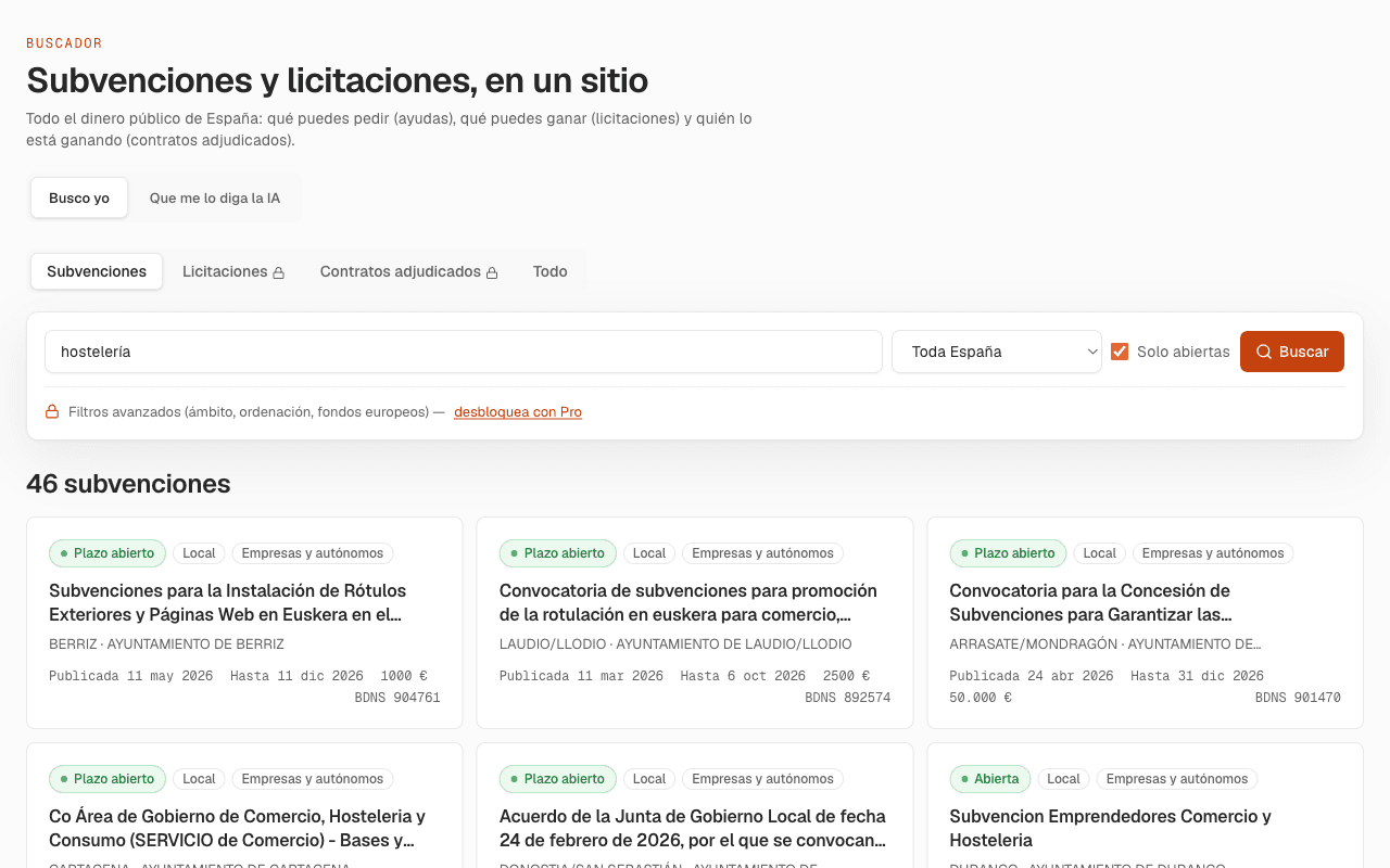 Buscador de Subvencióname mostrando convocatorias abiertas con plazos, presupuestos y organismos.
